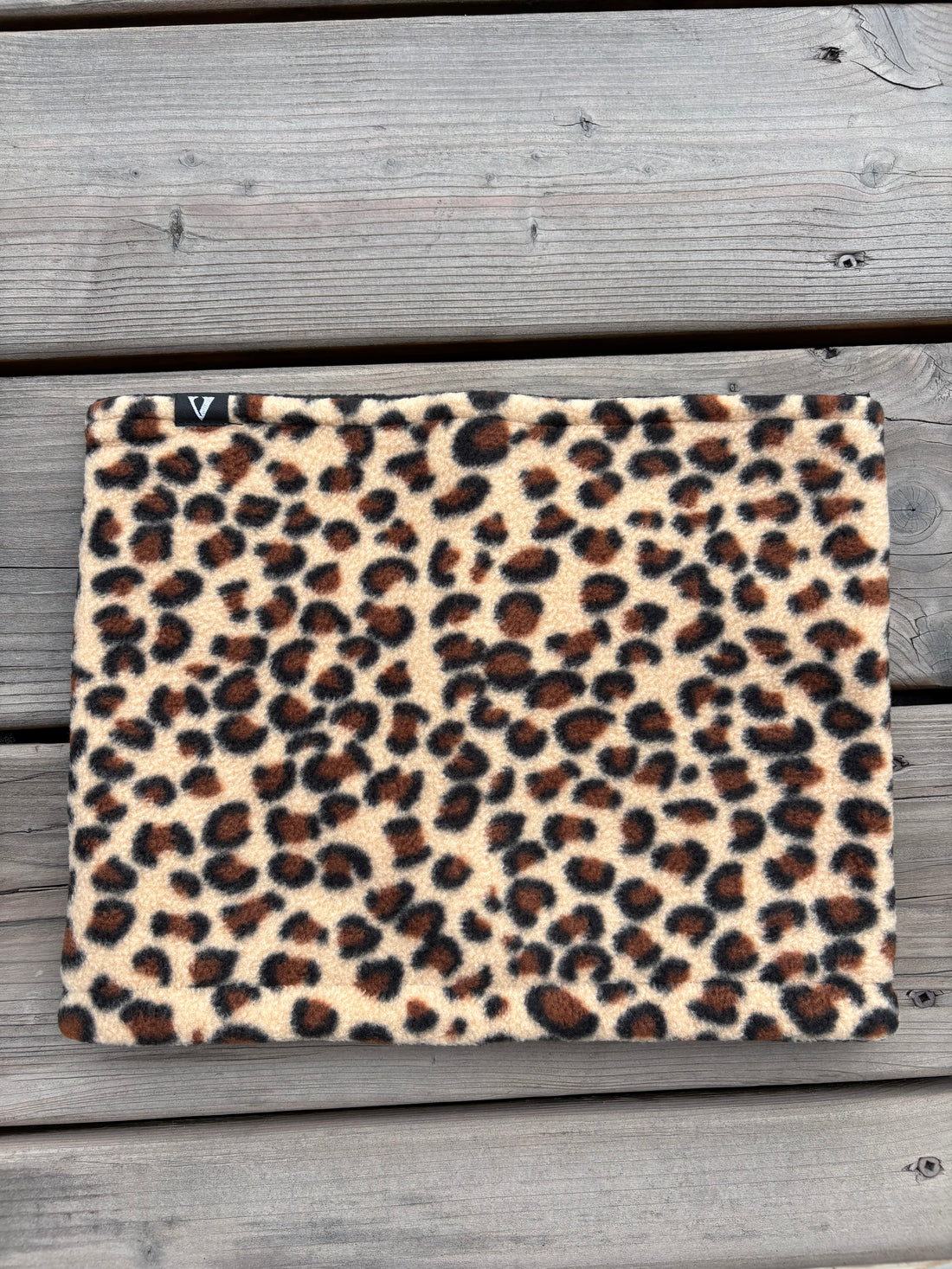 Cheetah, image 2
