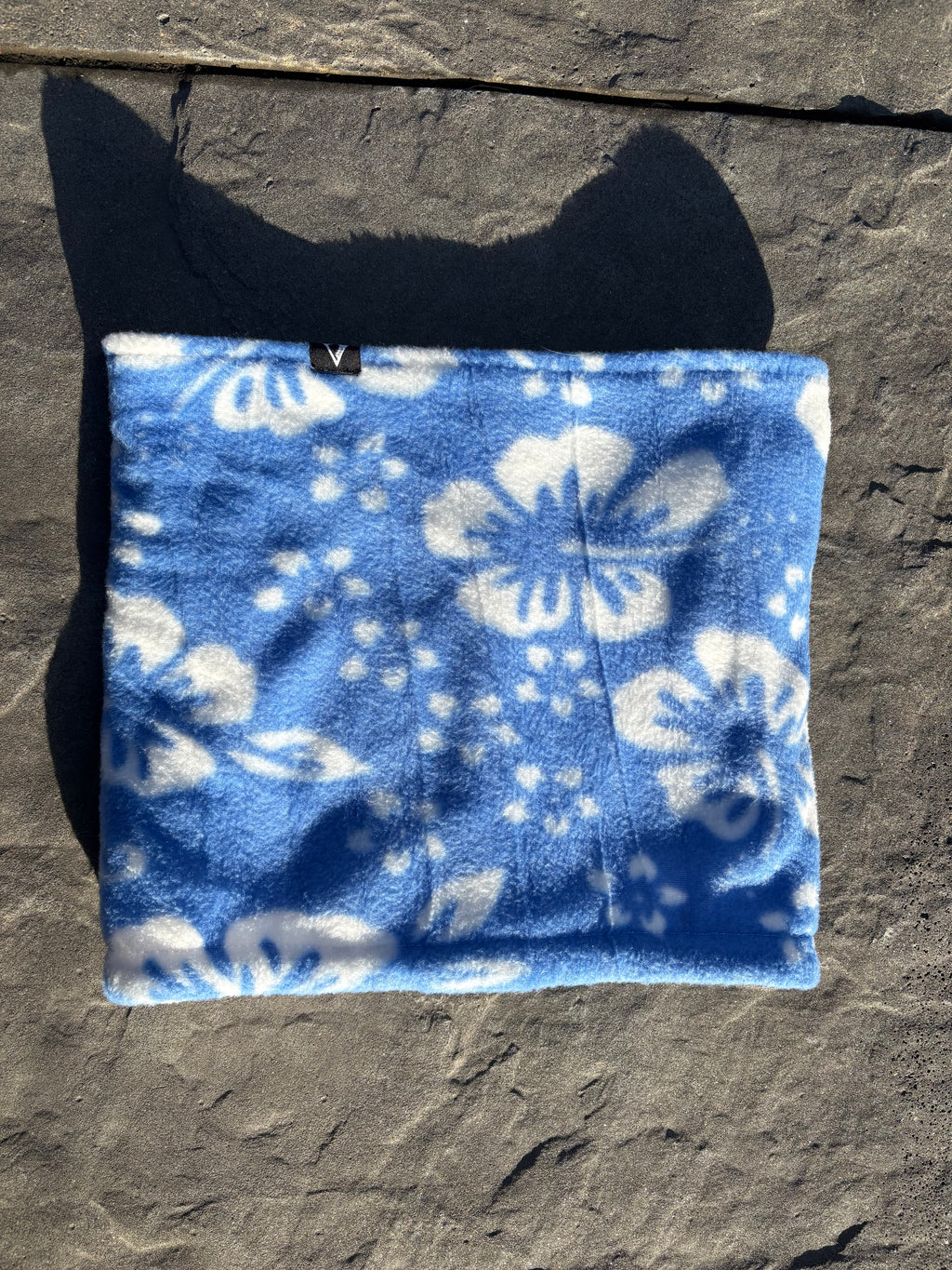 Candy tuft 🌺 - blue