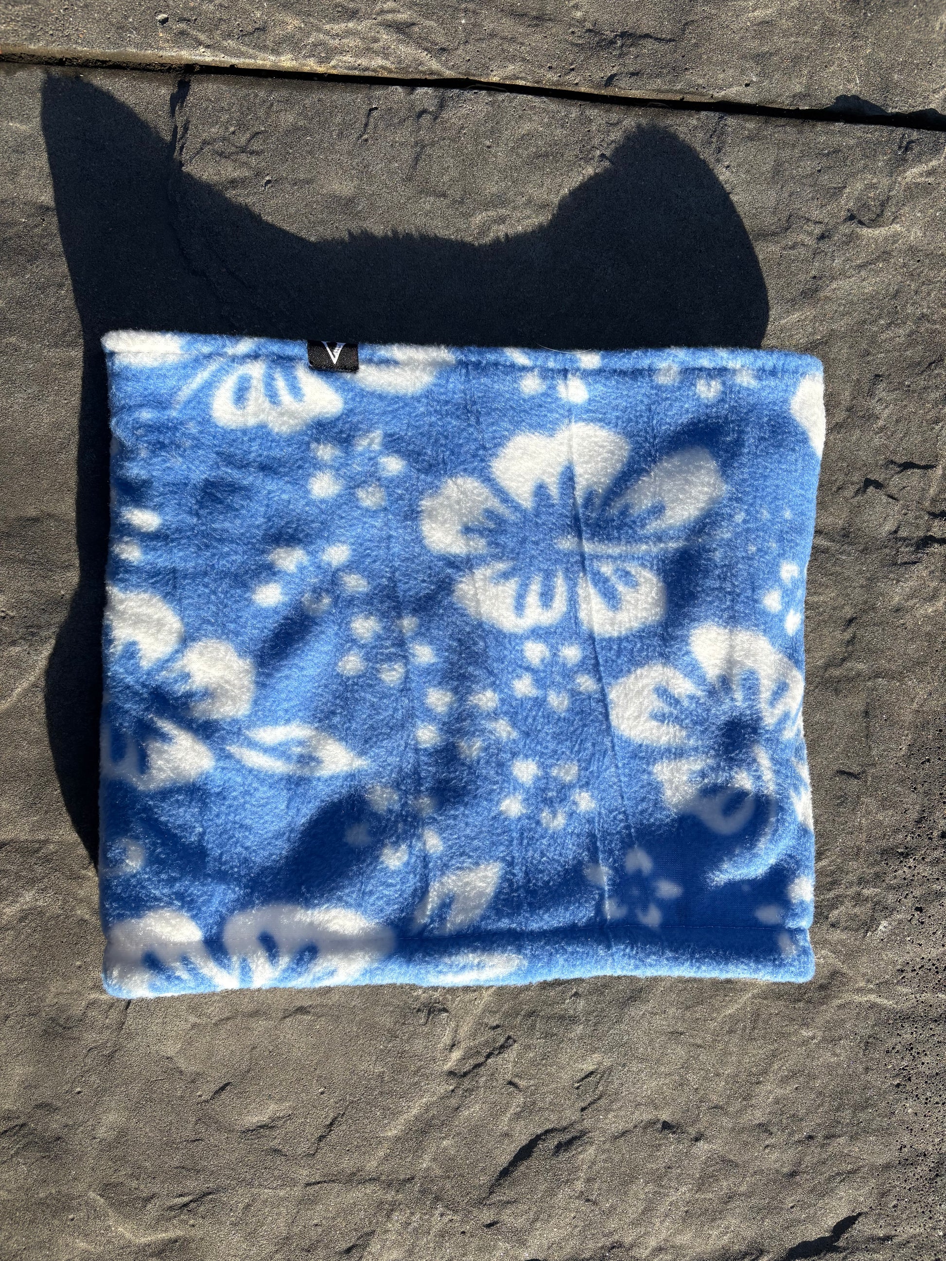 Candy tuft 🌺 - blue