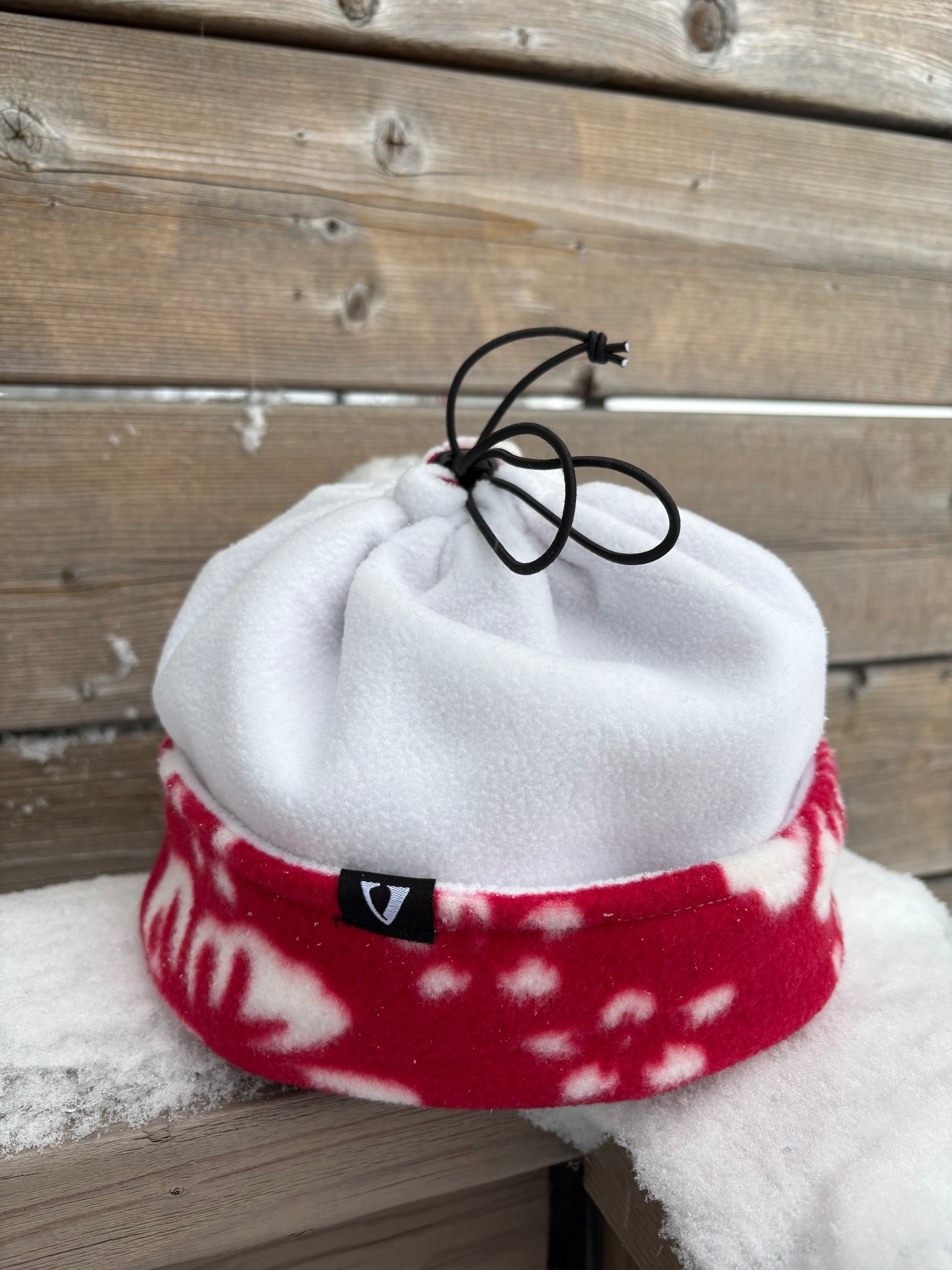 Candy Tuft 🌺 - Red