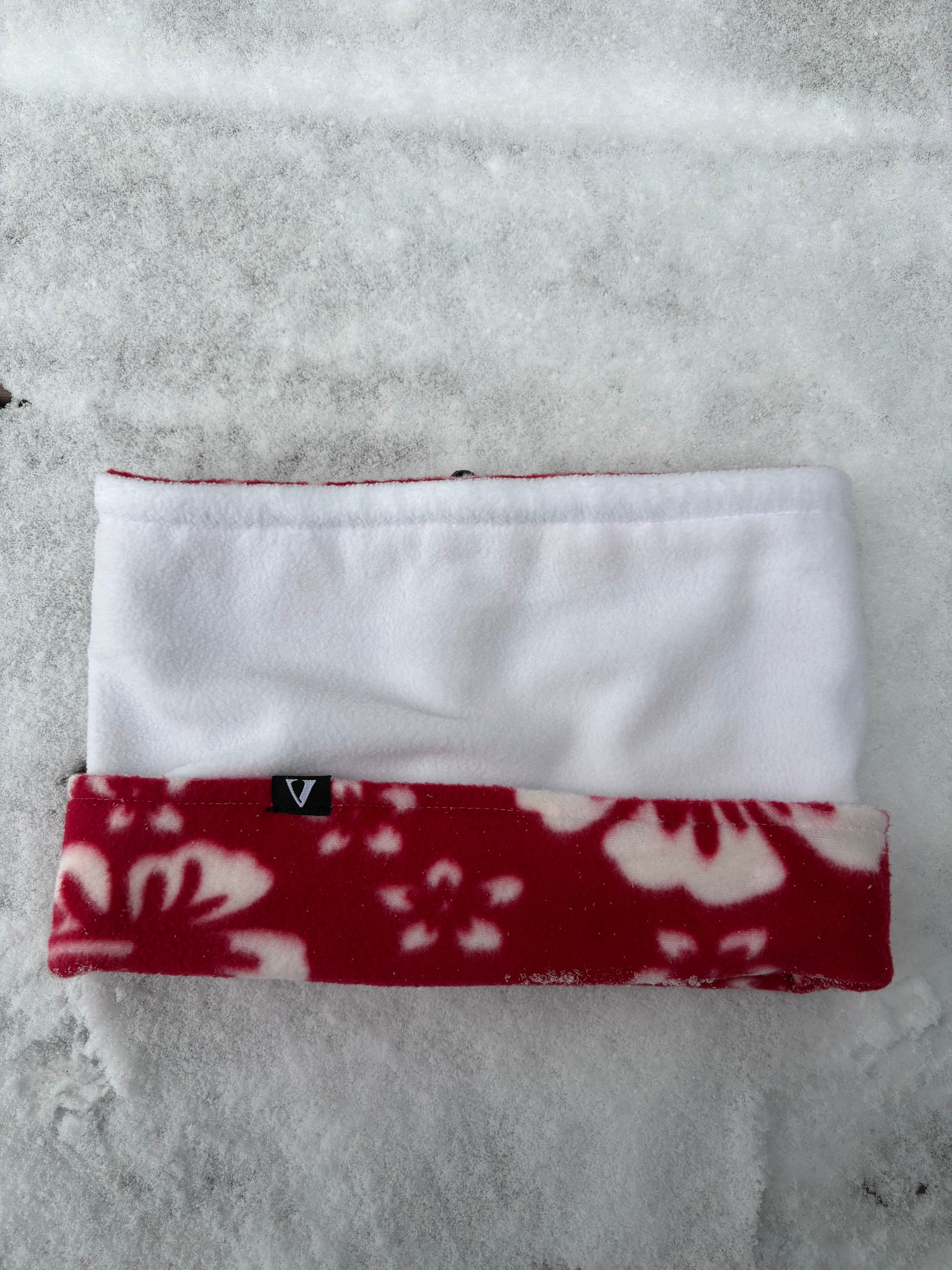 Candy Tuft 🌺 - Red