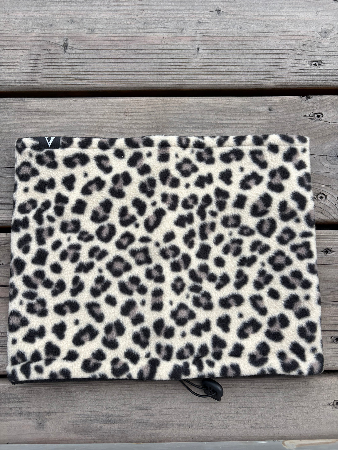 Snow Cheetah, image 2