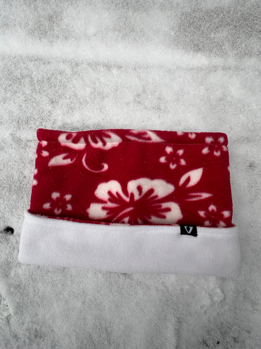 Candy Tuft 🌺 - Red