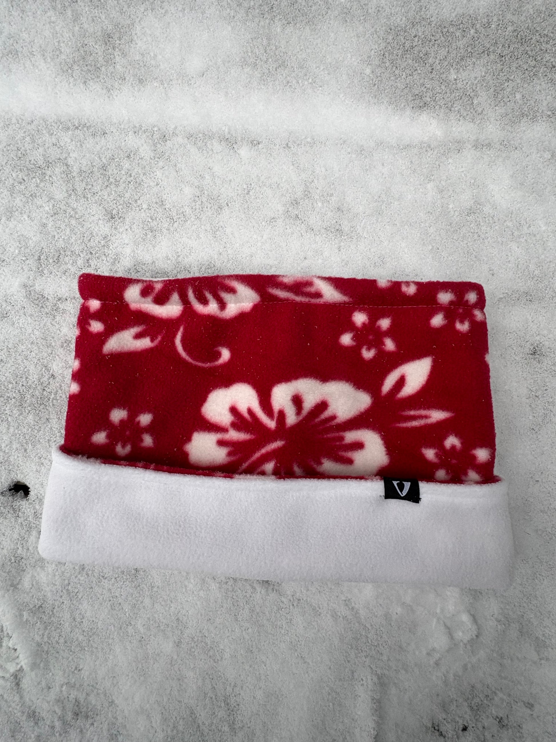 Candy Tuft 🌺 - Red